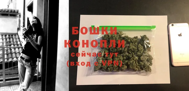 где найти наркотики  Бологое  Марихуана White Widow 